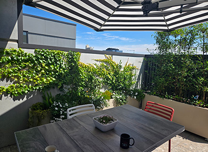 Rooftop Garden Design