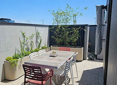 Rooftop planting Day 1