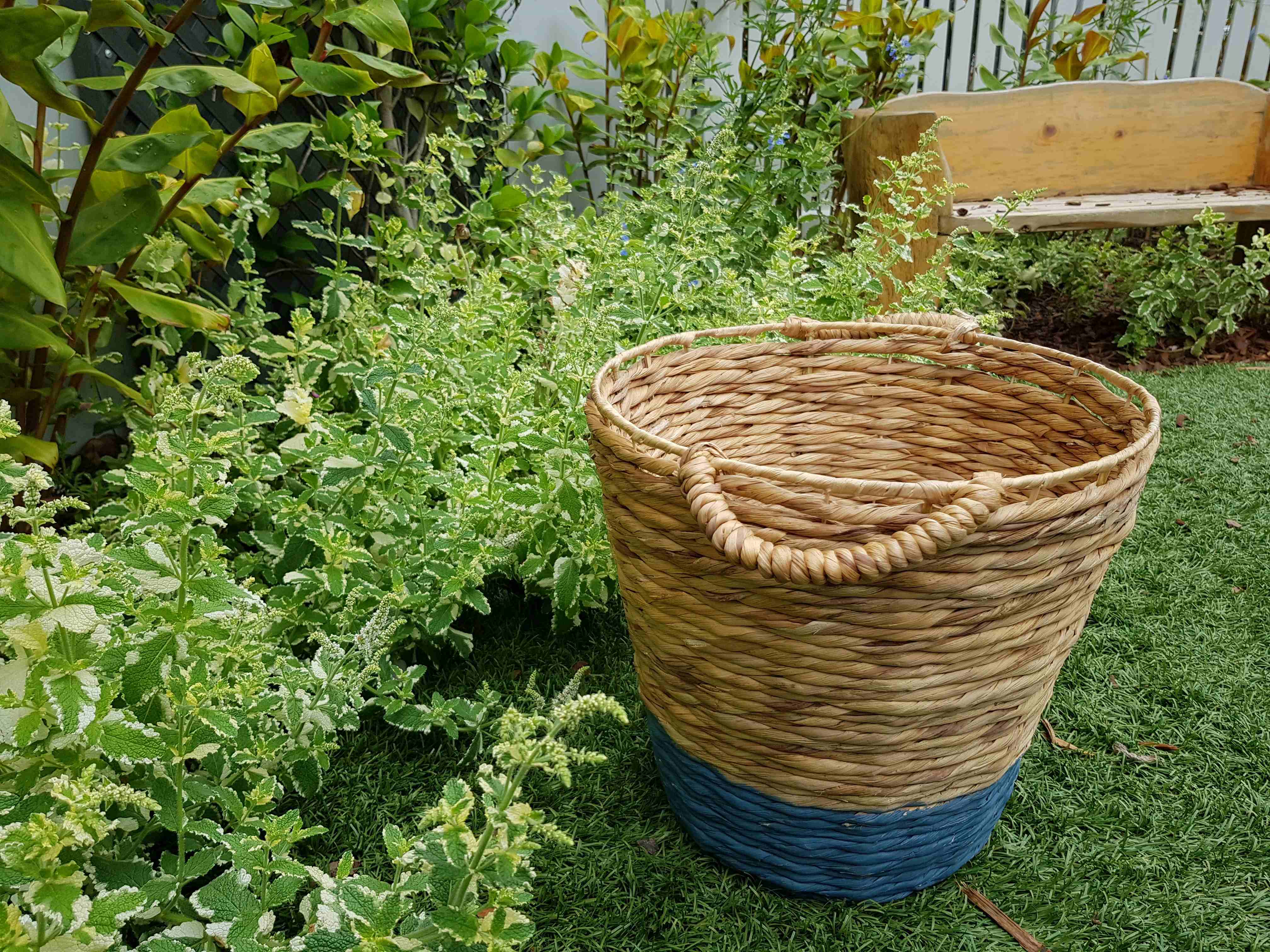 botanical traditions : Platypus Junction Childcare Centre, Croydon